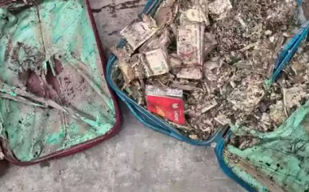 Two bags of cash, with old 500 notes, found from union room of Surendranath college